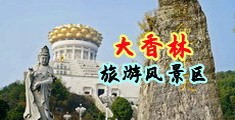 干B在线观看视频网站中国浙江-绍兴大香林旅游风景区